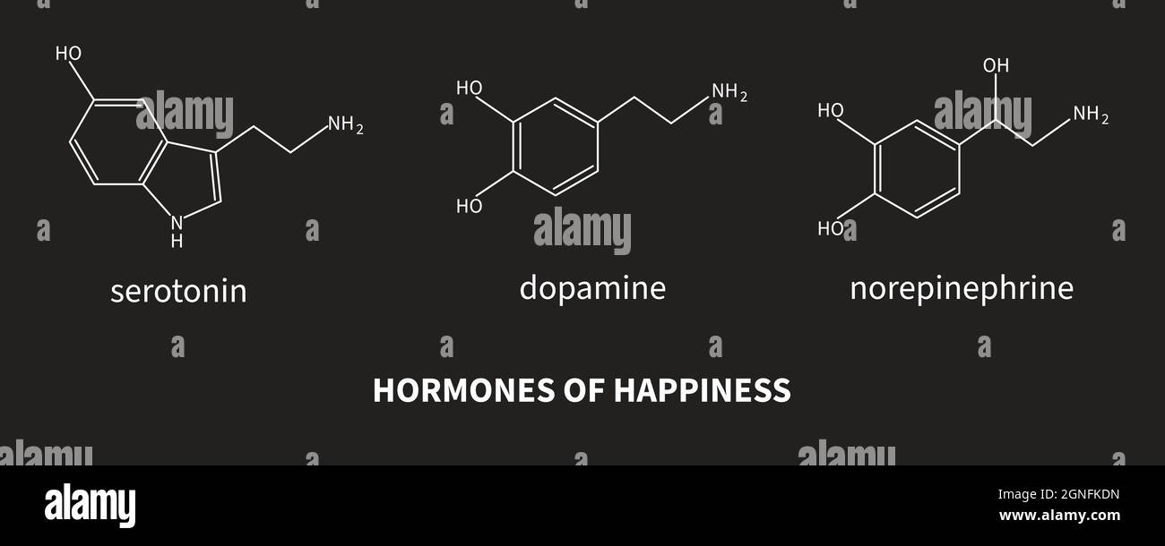 Hormones du bonheur - sérotonine, dopamine, norépinéphrine. Formule de neurotransmetteur. Cerveau et psychiatrie. Illustration vectorielle Illustration de Vecteur