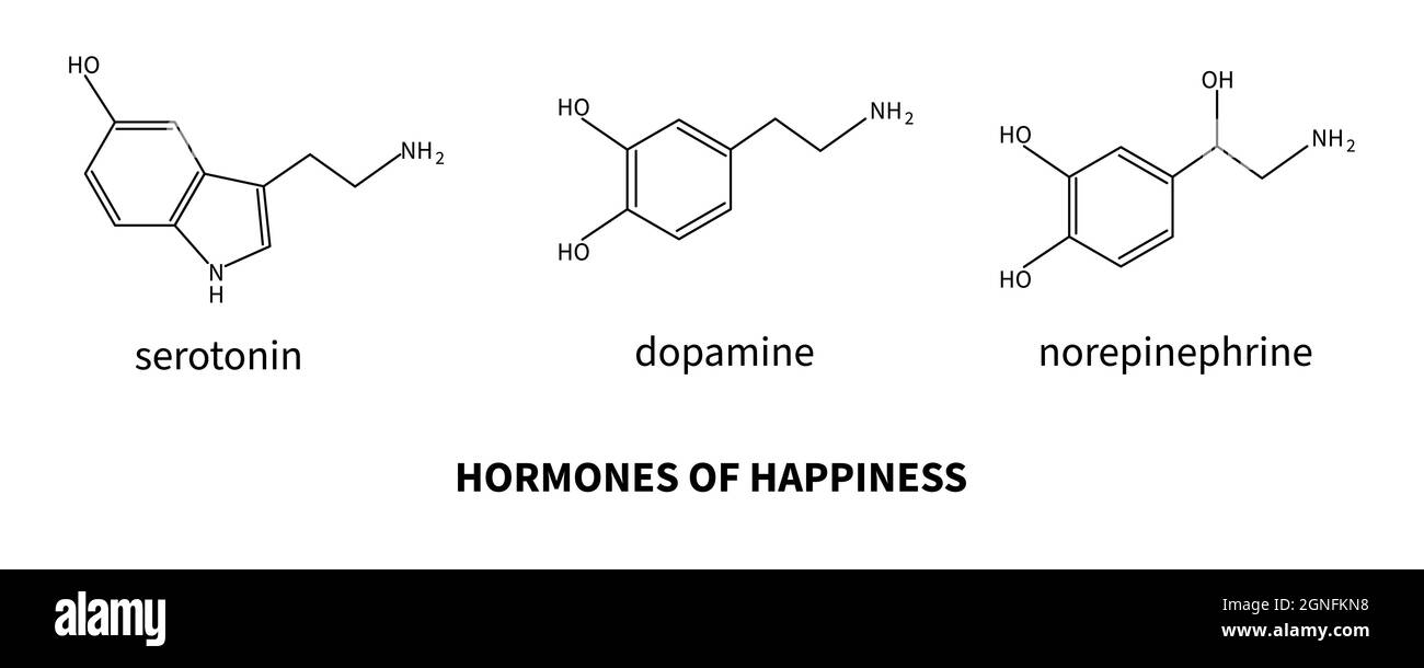 Hormones du bonheur - sérotonine, dopamine, norépinéphrine. Formule de neurotransmetteur. Cerveau et psychiatrie. Illustration vectorielle Illustration de Vecteur