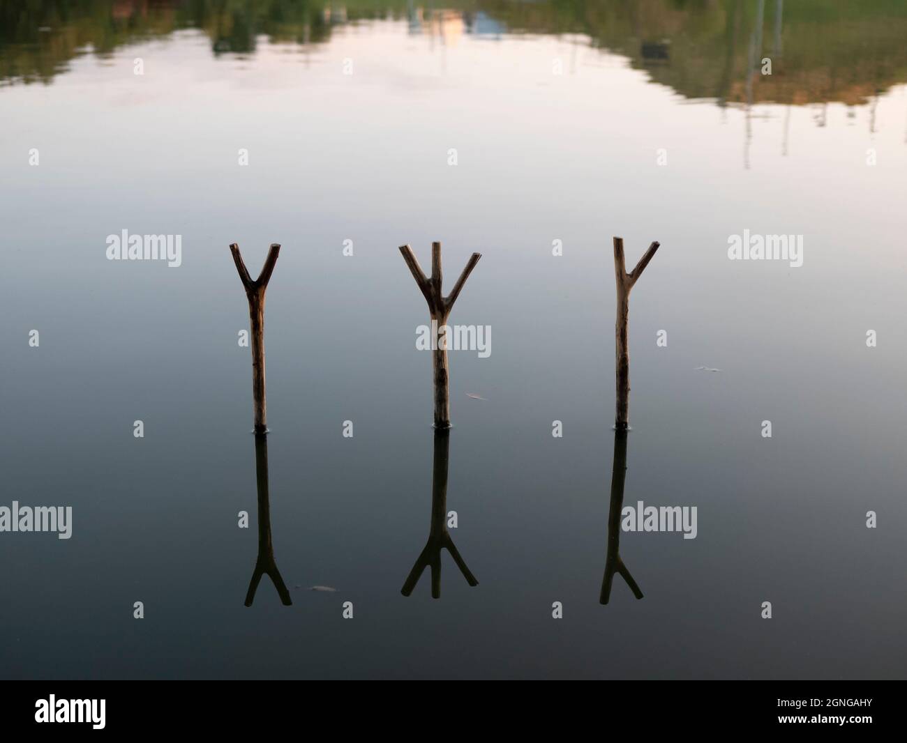Trois bâtons de bois comme support pour les cannes à pêche dans l'eau. Paysage calme, calme et calme. Lieu de pêche Banque D'Images