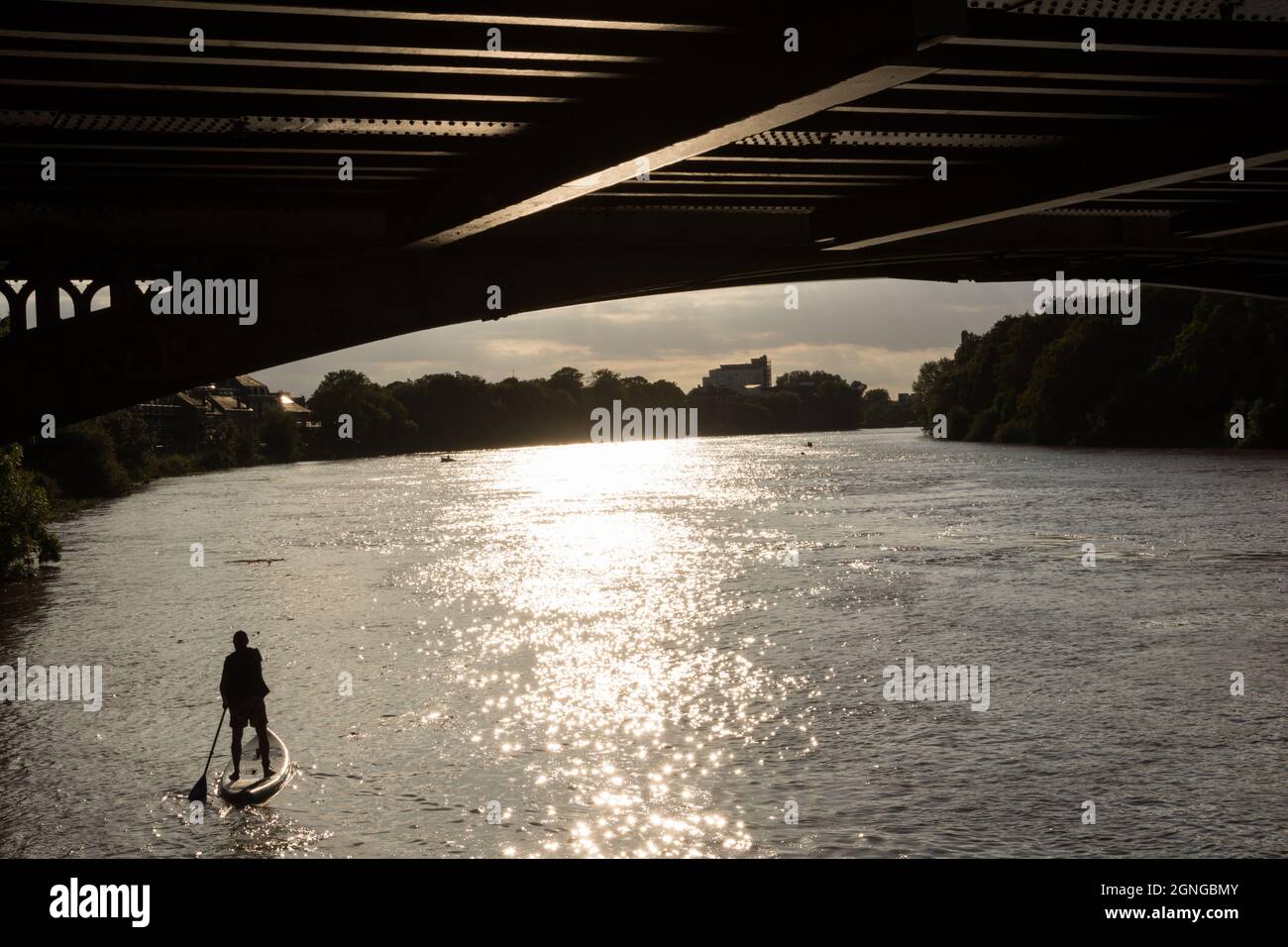 Silhouette d'un pédalo solitaire qui pagayonne en amont sur la Tamise sous le pont ferroviaire Barnes Railway Bridge dans le sud-ouest de Londres, Angleterre, Royaume-Uni Banque D'Images