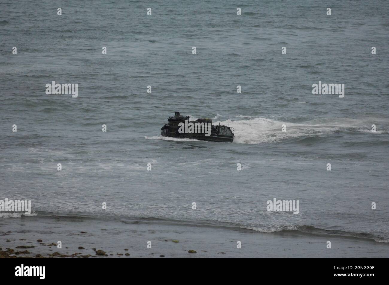 USMC AAV arrive à terre pendant les exercices au Camp Pendleton, Californie Banque D'Images