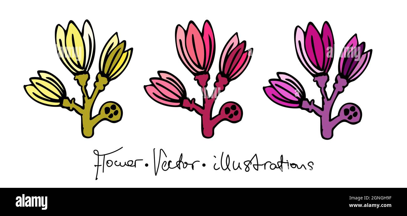 Ensemble d'illustrations vectorielles de fleurs fantaisie colorées avec inscription. Illustration de Vecteur