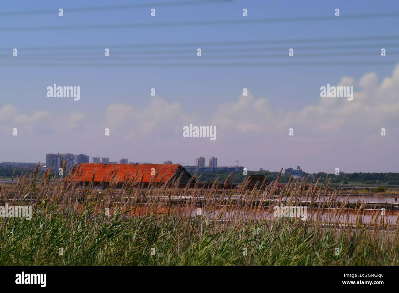 Lac Atanasovsko, Burgas, Bulgarie, lac rose Banque D'Images