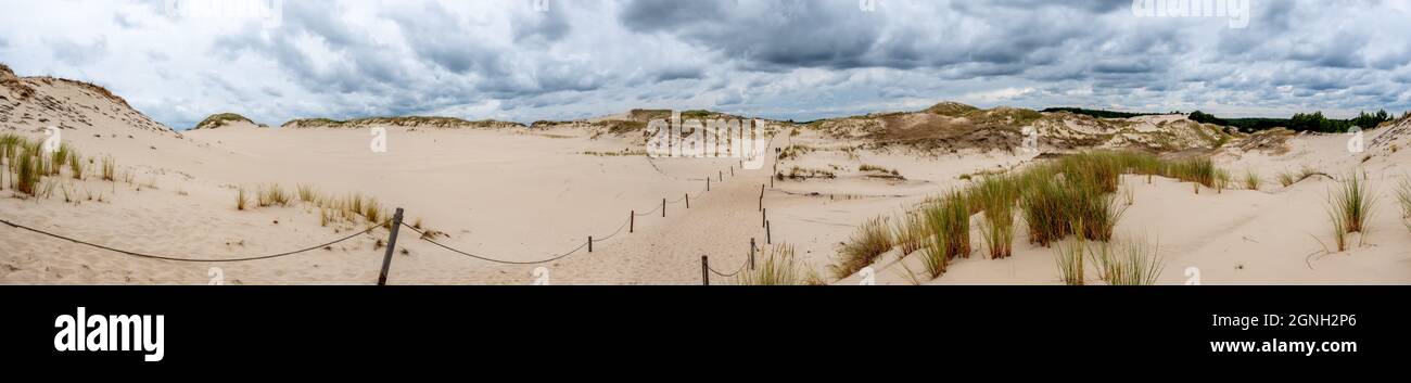 Panorama des dunes de sable absorbant la forêt dans le parc national de Słowiński en Pologne. Photo prise dans de bonnes conditions d'éclairage par temps nuageux Banque D'Images