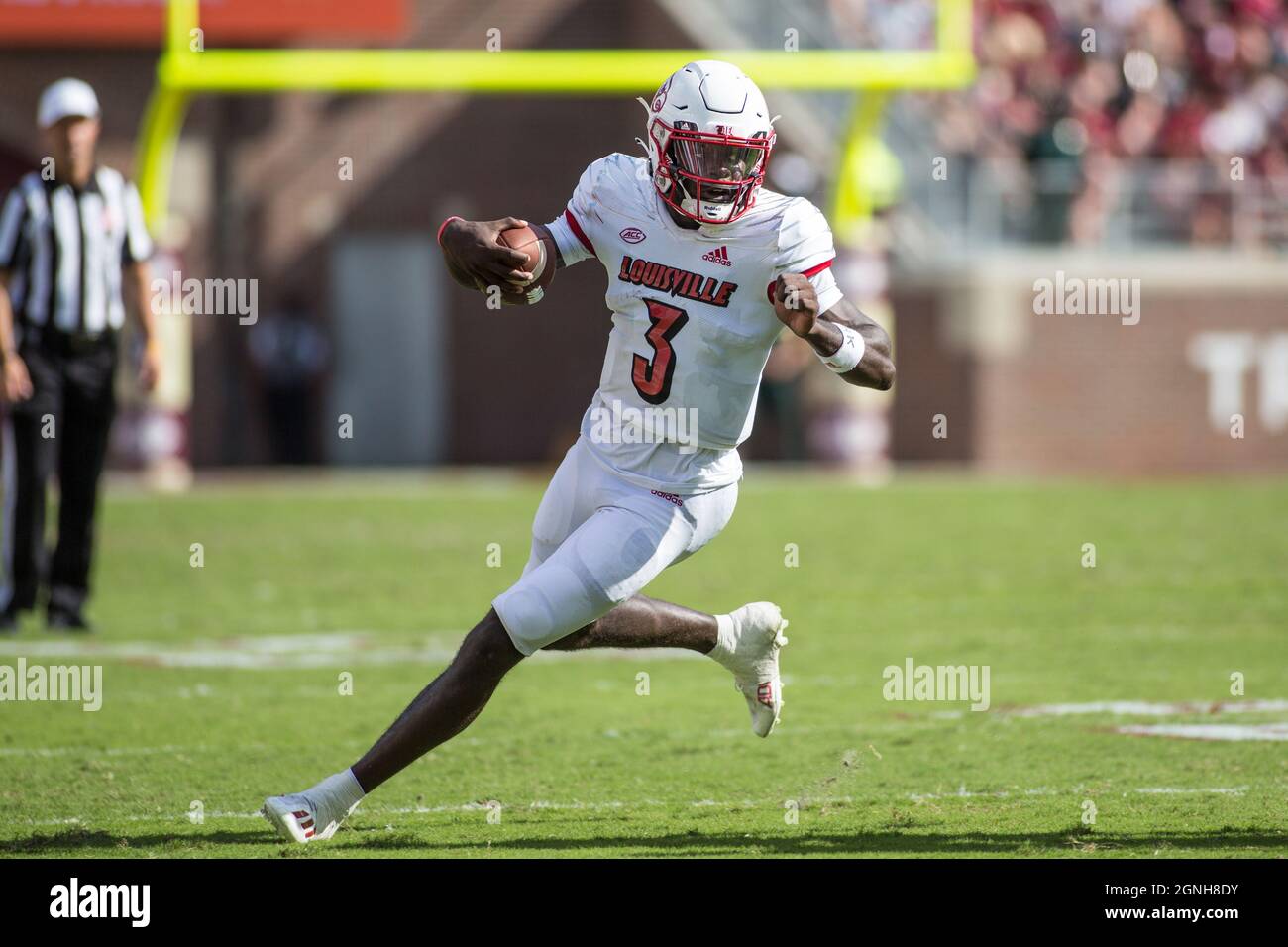 25 septembre 2021 : le quarterback des Cardinals de Louisville, Malik Cunningham (3), se lance dans la défense lors du match de football de la NCAA entre les Cardinals de Louisville et les Seminoles de l'État de Floride au stade Doak Campbell Tallahassee, FL. Jonathan Huff/CSM. Banque D'Images