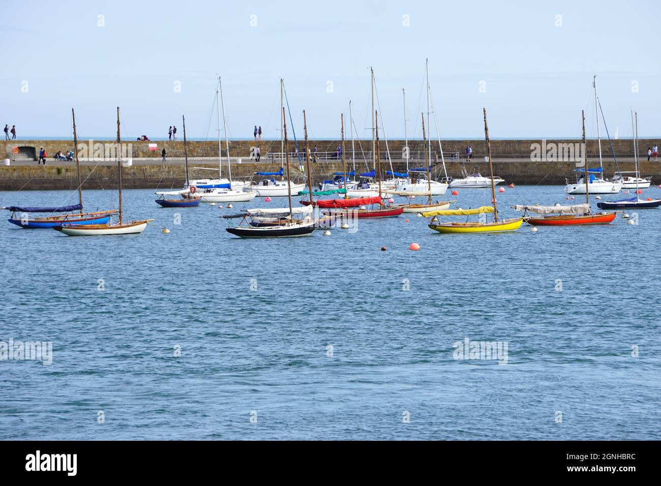 Une forêt de mâts de voiliers de plaisance crée une mosaïque flottante