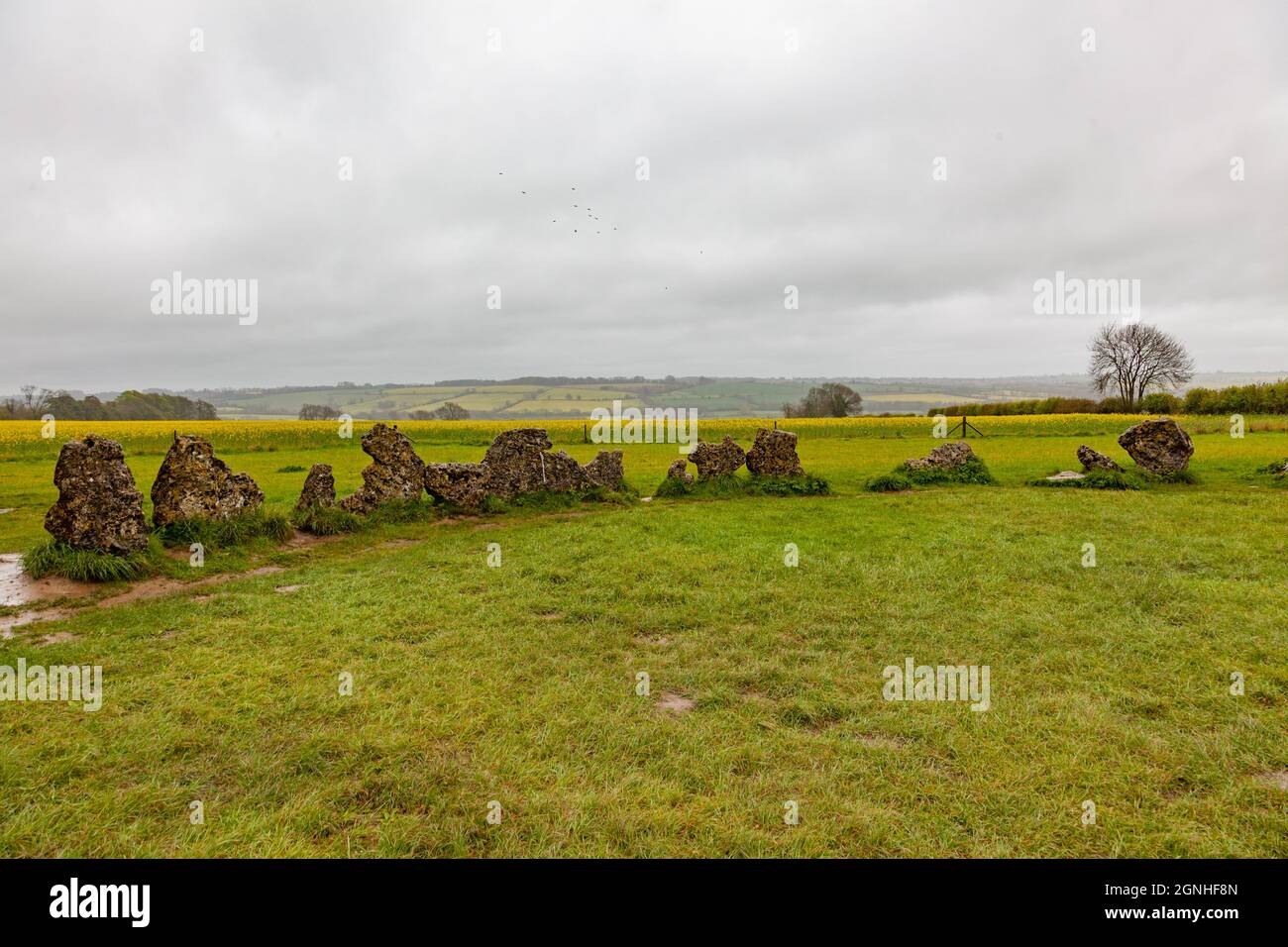 Les pierres à Rollax sont un complexe de trois monuments mégalithiques néolithiques et de l'âge de bronze près du village de long Compton, sur les frontières d'Oxfordsh Banque D'Images