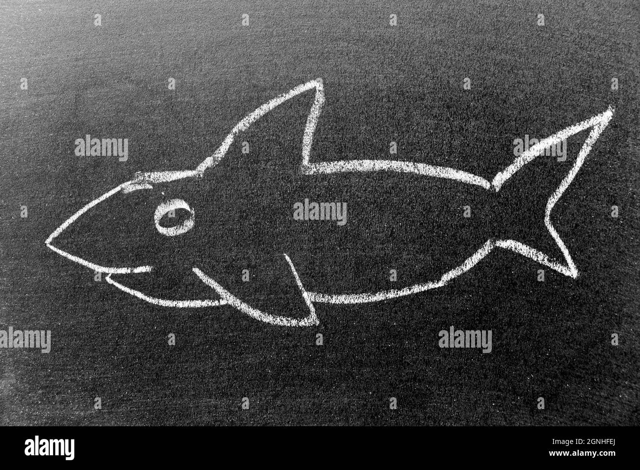 Craie blanche dessin à la main en forme de requin ou d'orque (orque) sur fond noir Banque D'Images