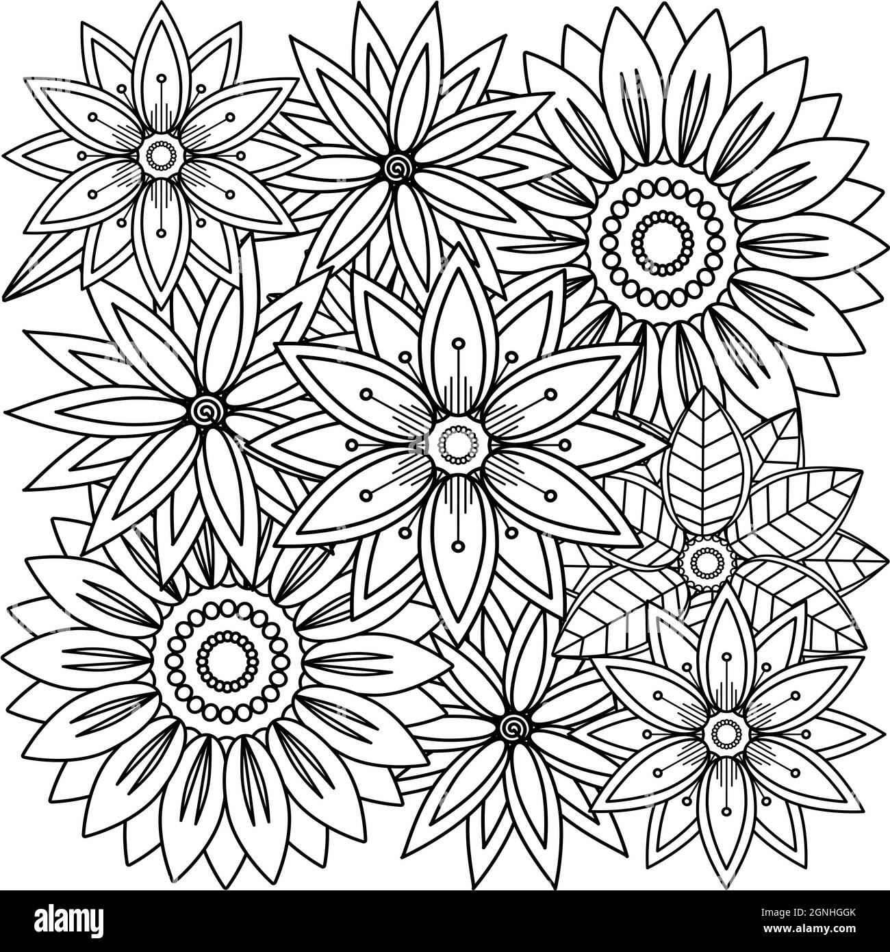 Image florale en noir et blanc pour les livres de coloriage. Page de coloriage de fleurs monochromes. Motif de gribouillages. Illustration vectorielle. Un ensemble de flo en fleurs Illustration de Vecteur