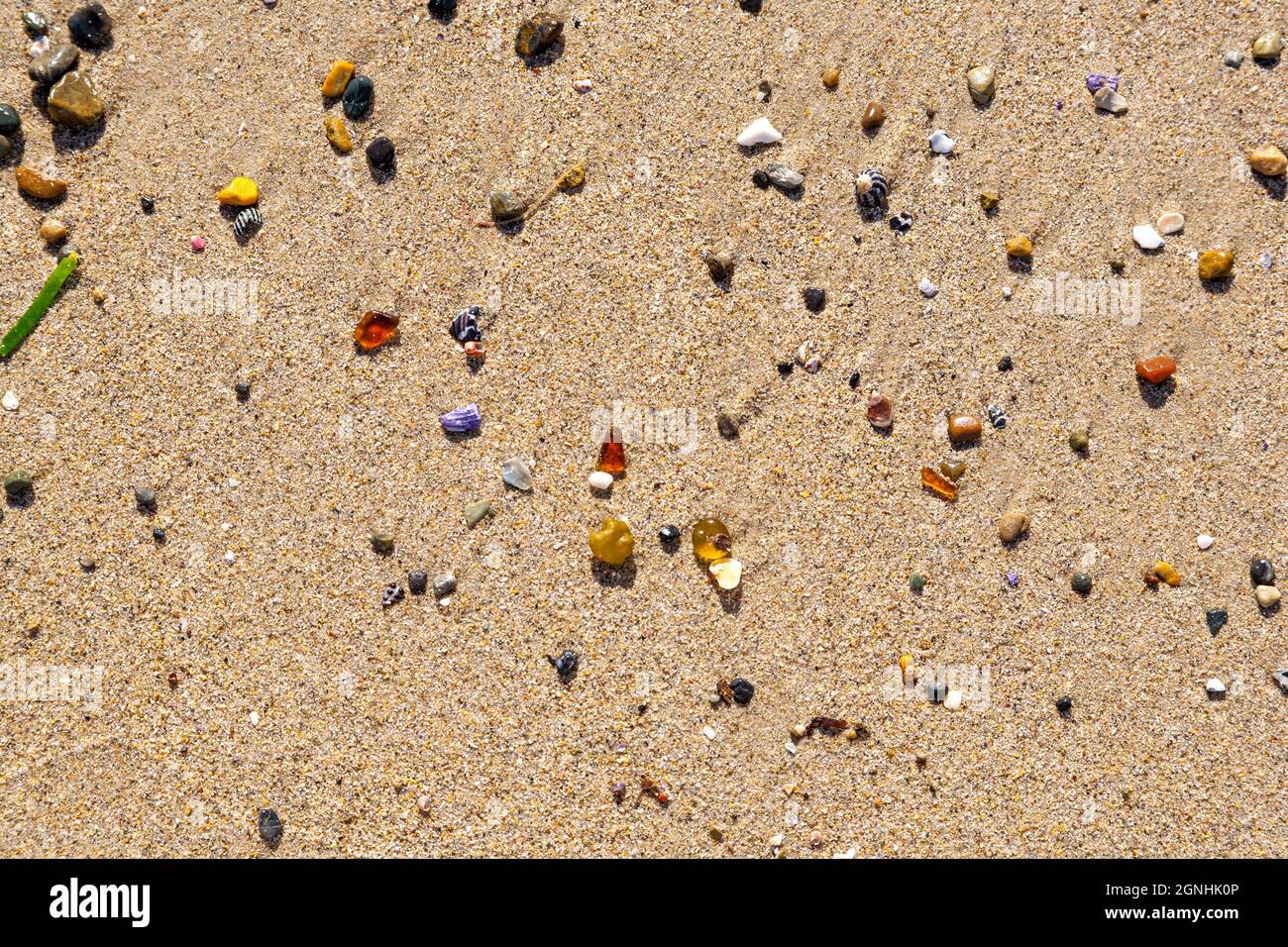 plage peignant une plage tropicale en Australie Banque D'Images