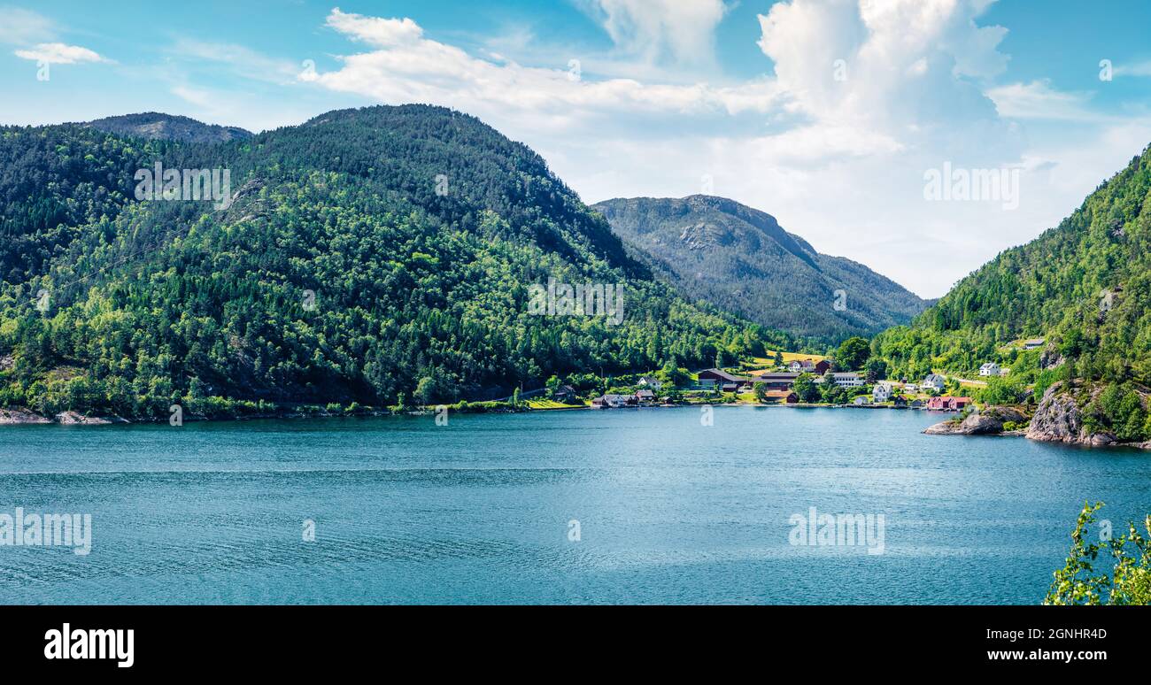 Campagne typique paysage norvégien. Matin d'été Summy en Norvège, Europe. Beauté de la nature concept fond. Filtre vert teinté. Banque D'Images