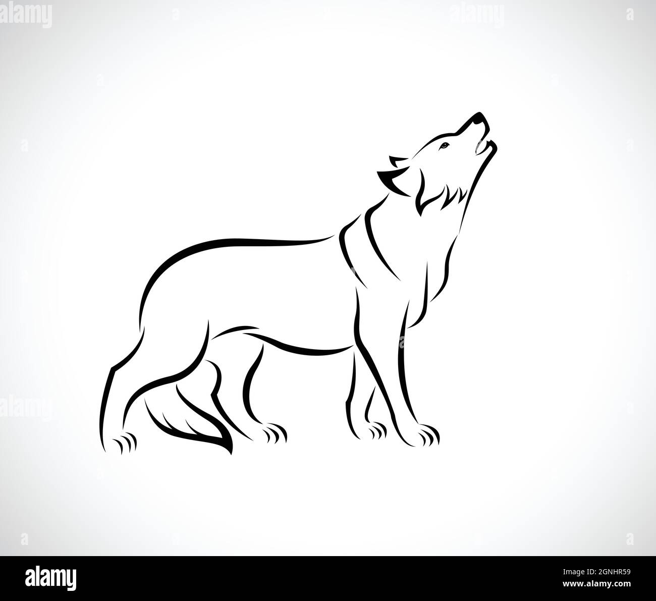 Motif vectoriel de loup sur fond blanc. Illustration vectorielle superposée facile à modifier. Animaux sauvages. Illustration de Vecteur