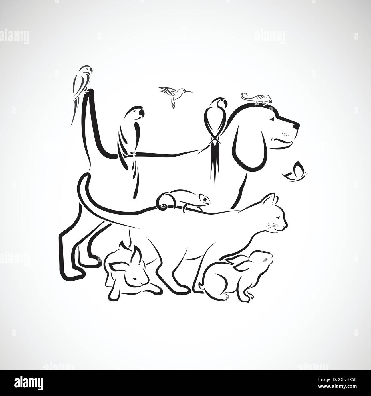 Groupe vectoriel d'animaux de compagnie - chien, chat, perroquet, lapin, papillon, Hummingbird, isolé sur fond blanc. Animaux de compagnie. Animaux. Vecteur en couches facilement modifiable illu Illustration de Vecteur