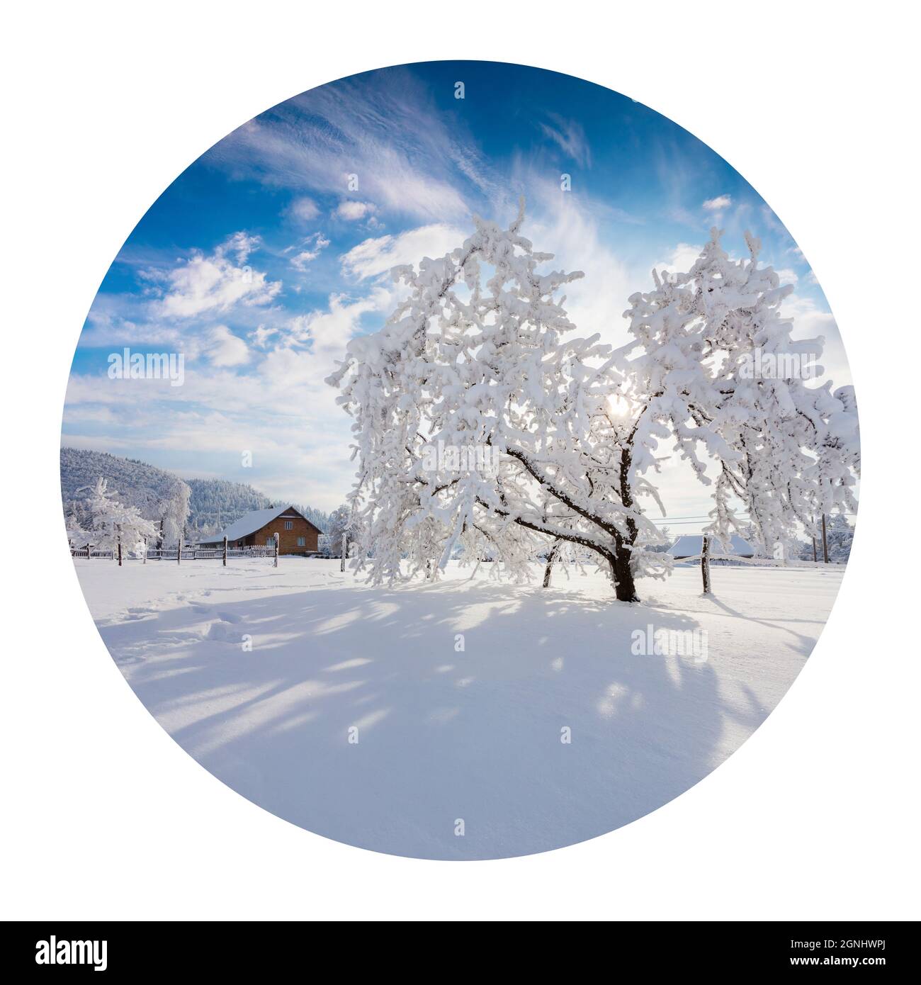 Icône ronde de la nature avec paysage. Matin d'hiver ensoleillé dans le village de Carpathian avec des arbres couverts de neige dans le jardin. La photographie en cercle. Banque D'Images