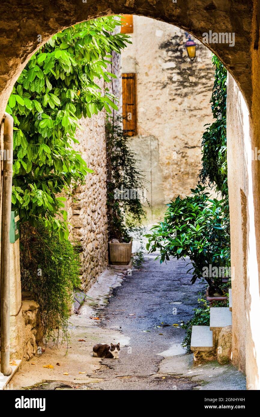 Allée dans village en Europe avec chat Banque D'Images