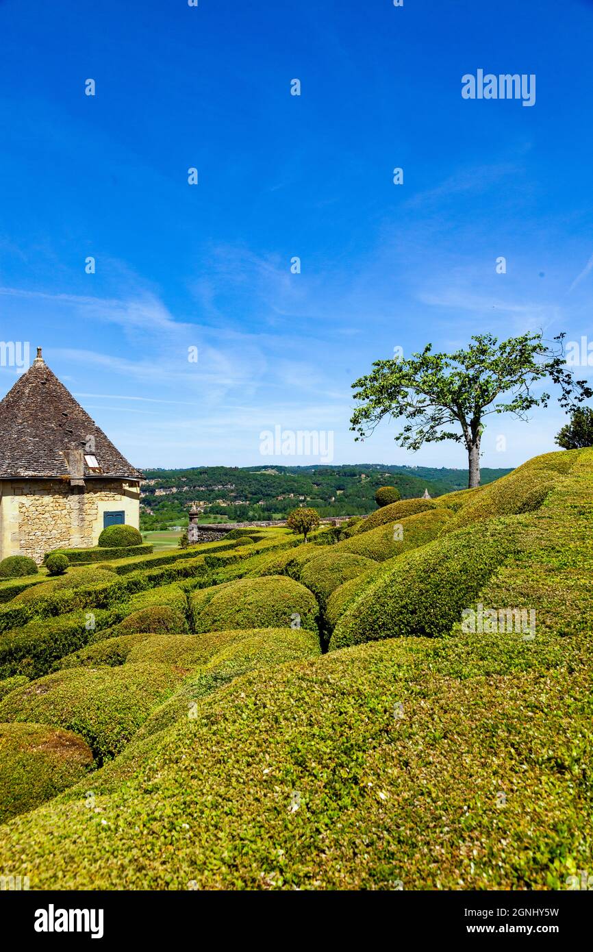 À Marqueyssac, le buis est mis en évidence sous de nombreuses formes. De nos jours, les jardins sont les plus visités du Périgord. Banque D'Images