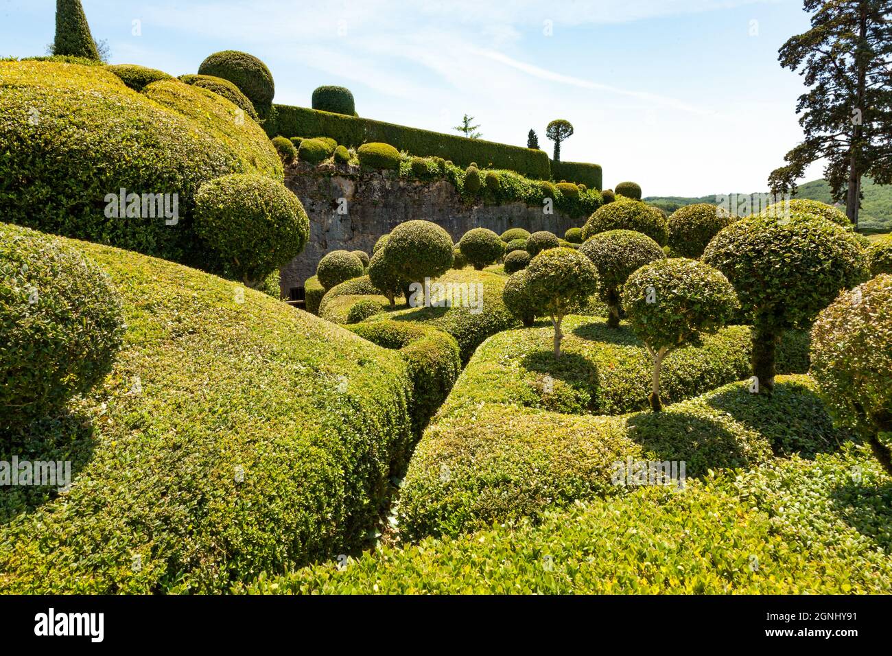 À Marqueyssac, le buis est mis en évidence sous de nombreuses formes. De nos jours, les jardins sont les plus visités du Périgord. Banque D'Images