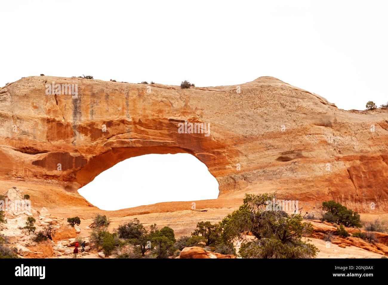 les fenêtres, arches parc national désert rock vista moab utah usa Banque D'Images