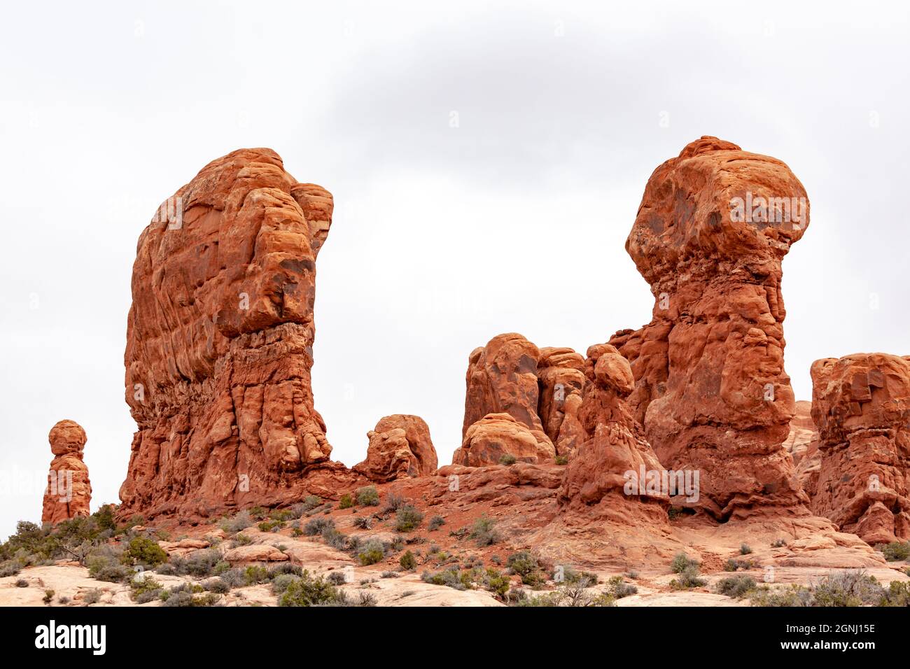 parade des éléphants, arches parc national desert rock vista moab utah usa Banque D'Images