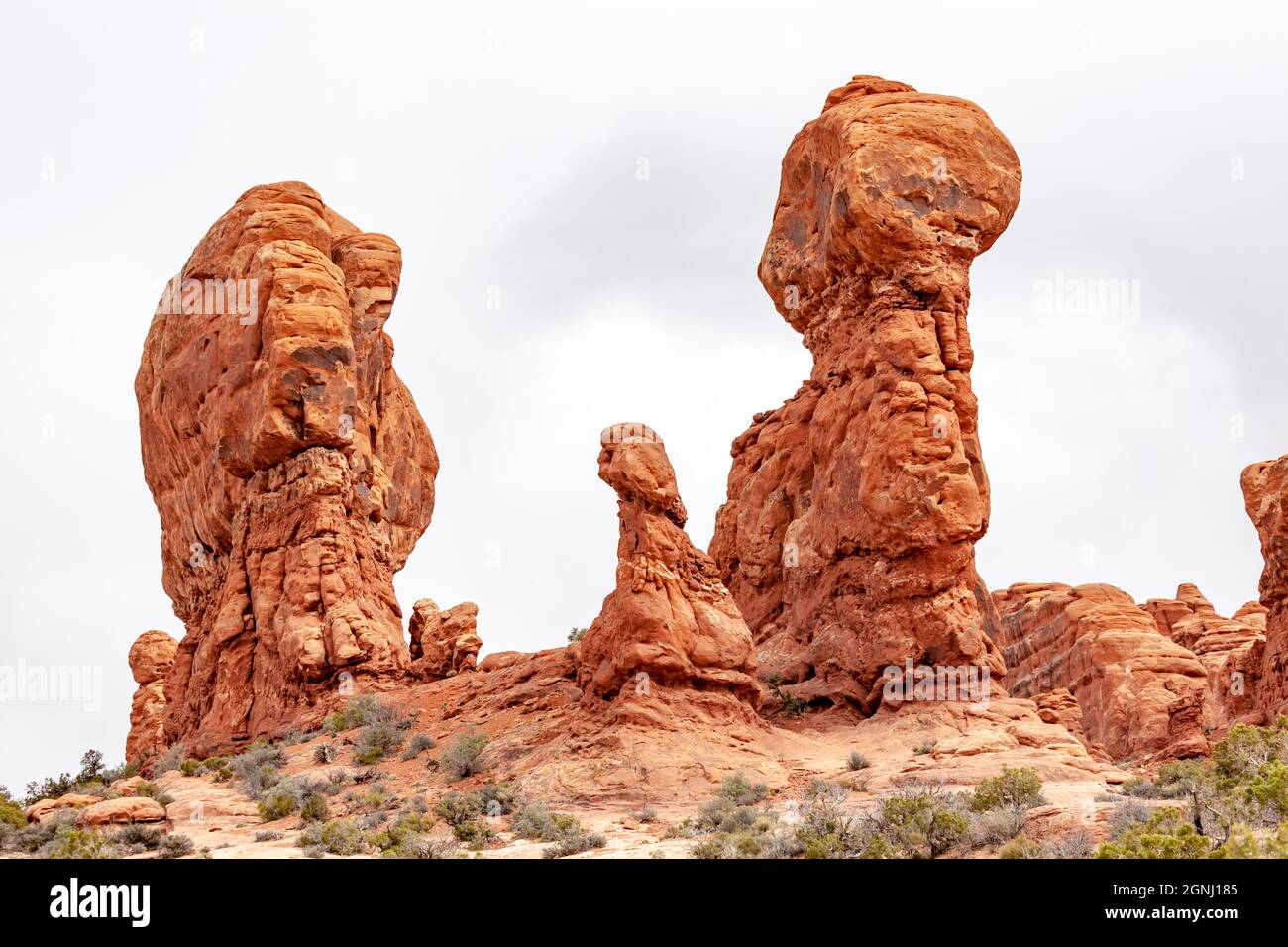 parade des éléphants, arches parc national desert rock vista moab utah usa Banque D'Images