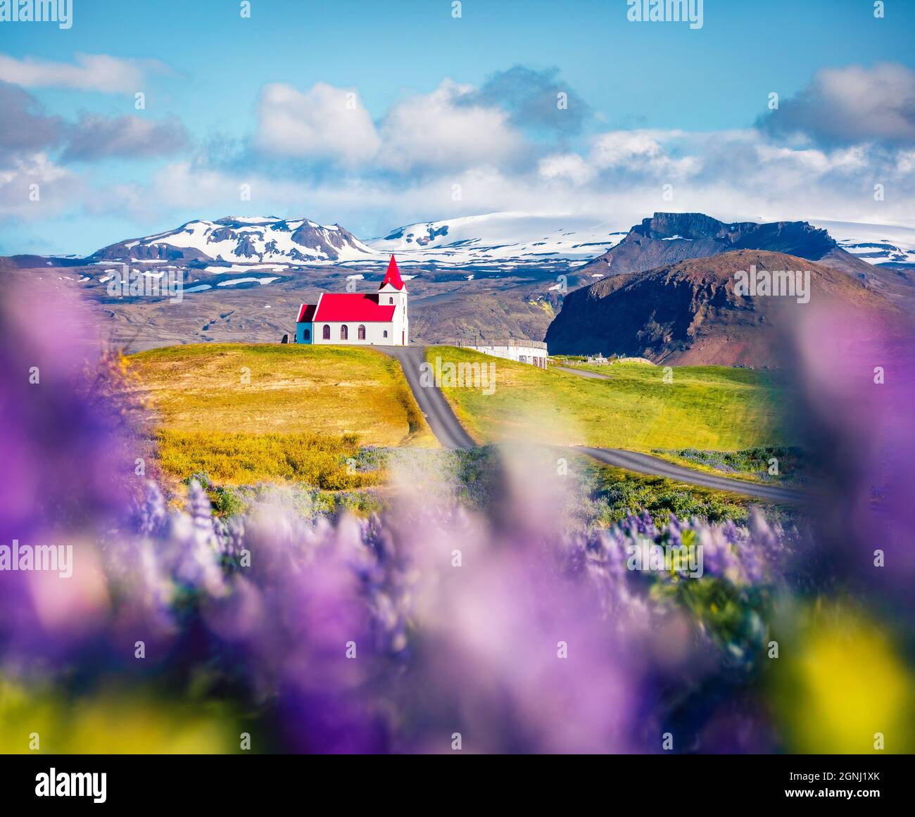 Magnifique vue du matin sur l'église emblématique de glace - Ingjaldsholl. Scène estivale lumineuse de l'Islande avec champ de fleurs lupin et montagnes enneigées Banque D'Images