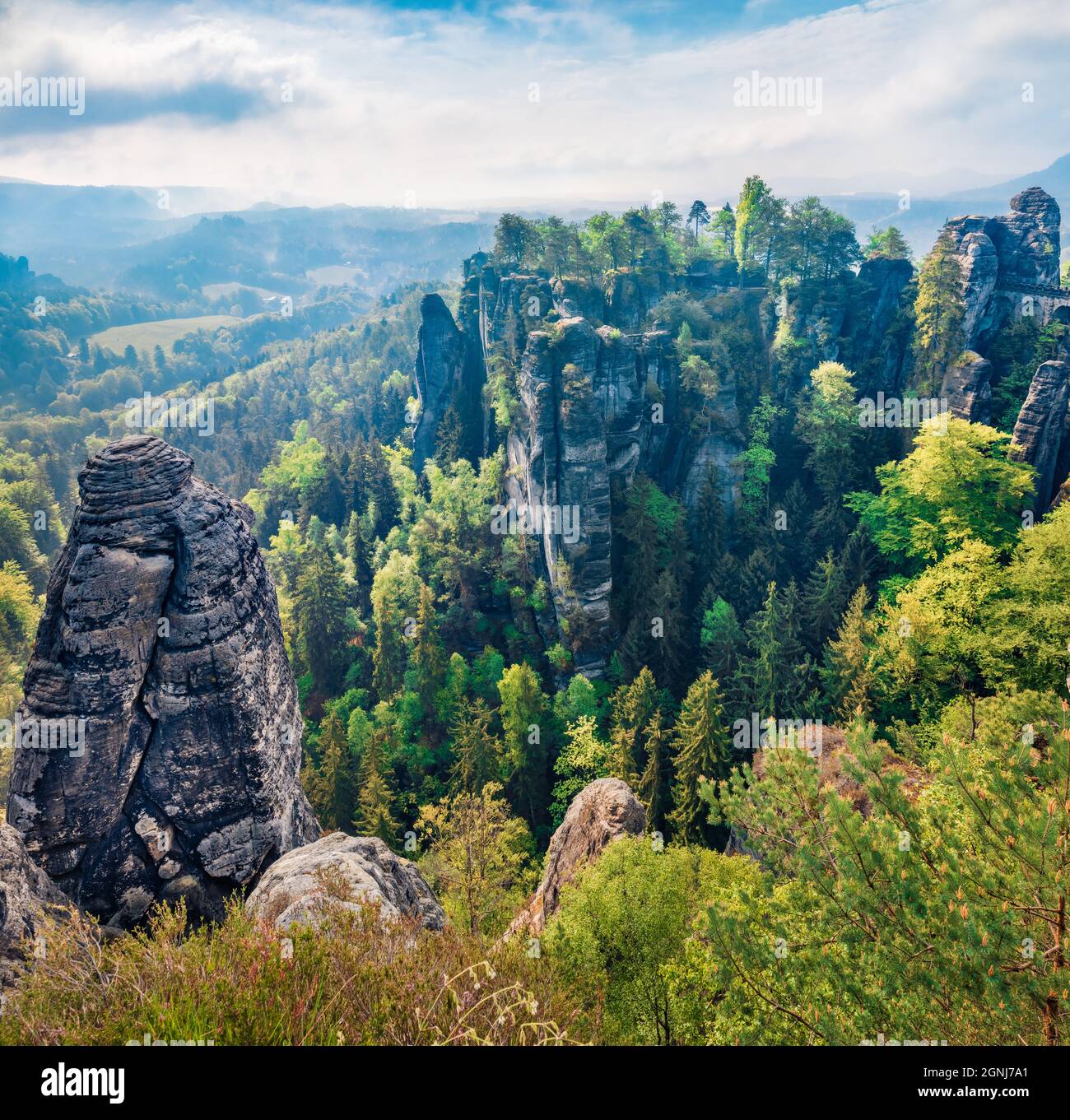 Scène matinale brumeuse d'une falaise de grès dans le parc national de la Suisse saxonne avec le pont Bastei en arrière-plan. Superbe vue d'été sur l'Allemagne, la Saxe, l'est Banque D'Images