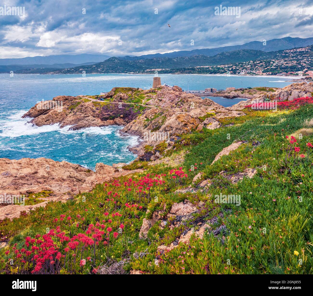 Vue d'été sombre sur le cap de la Pietra avec la Genoise de la Pietra une tour de l'ile-Rousse en arrière-plan. Scène matinale fraîche de l'île de Corse, France, E Banque D'Images