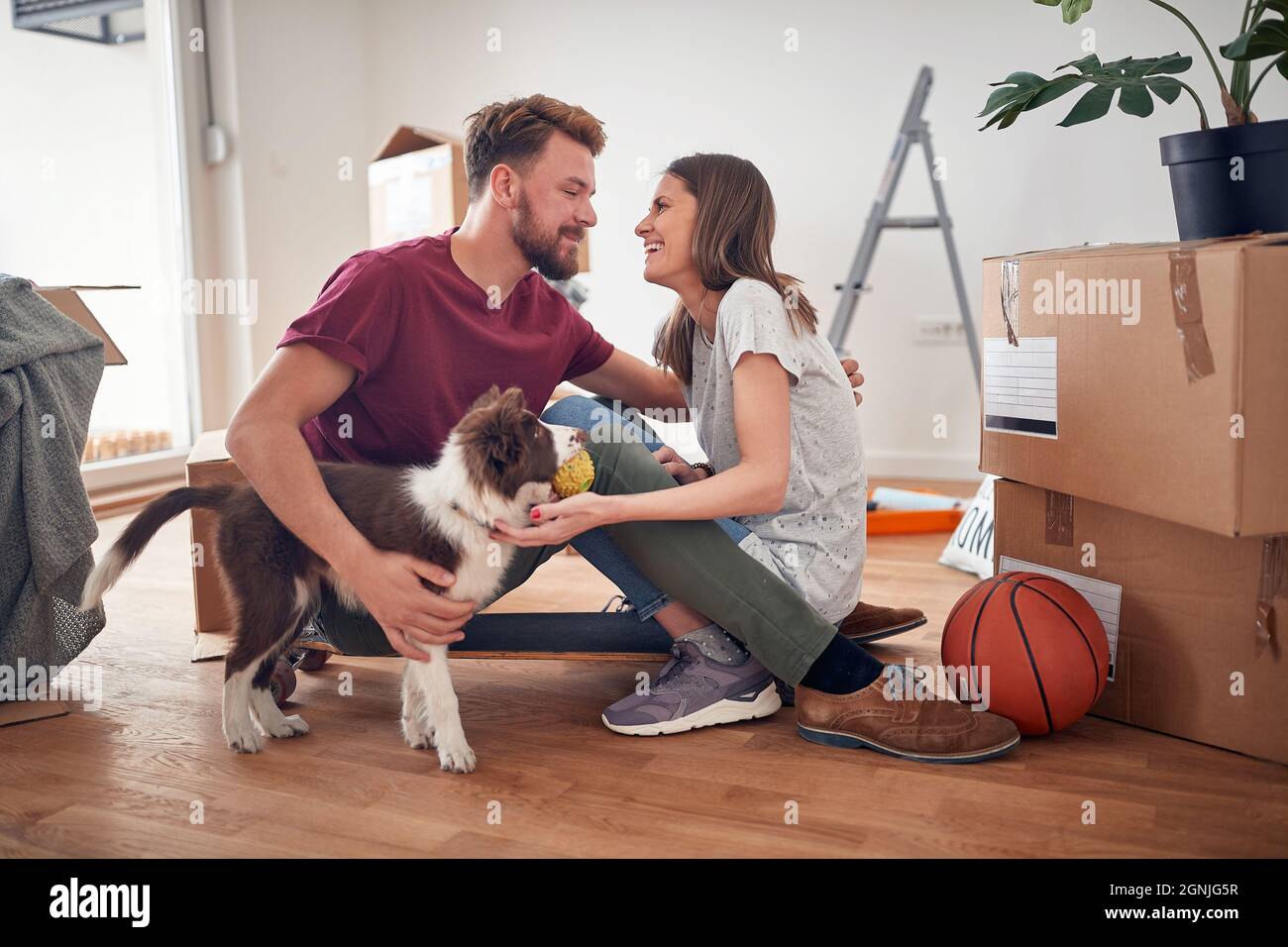 mignon petit chiot tenant le ballon regardant ses humains se demandant ce qu'ils ne réalisent pas qu'ils sont sur le point de s'embrasser Banque D'Images