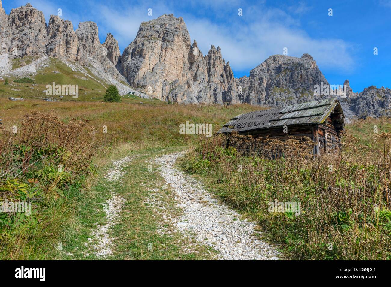 Passo Gardena, Haut-Adige, Dolomites, Tyrol du Sud, Italie Banque D'Images