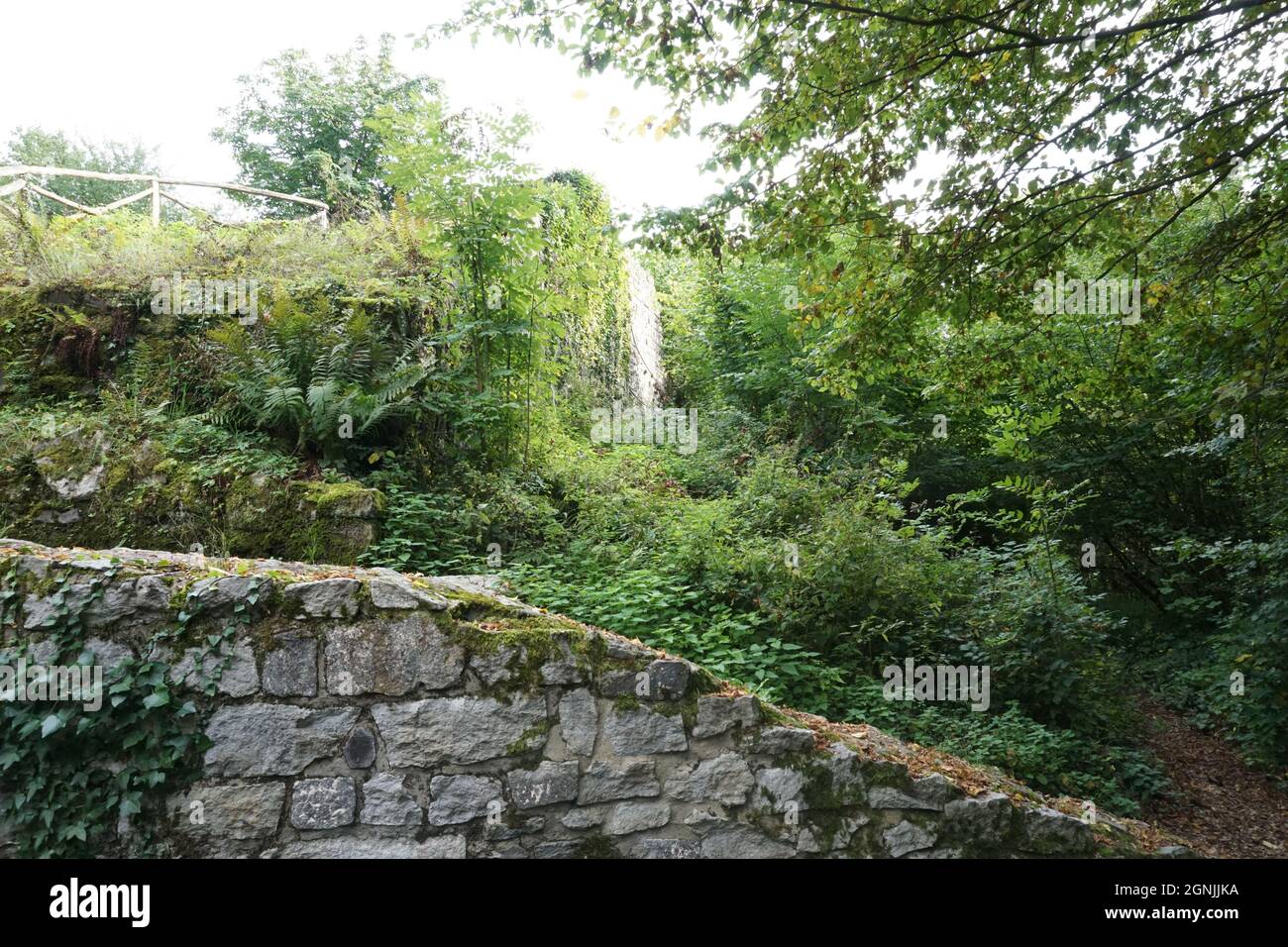 Burgruine Rosenau im Sommer Banque D'Images