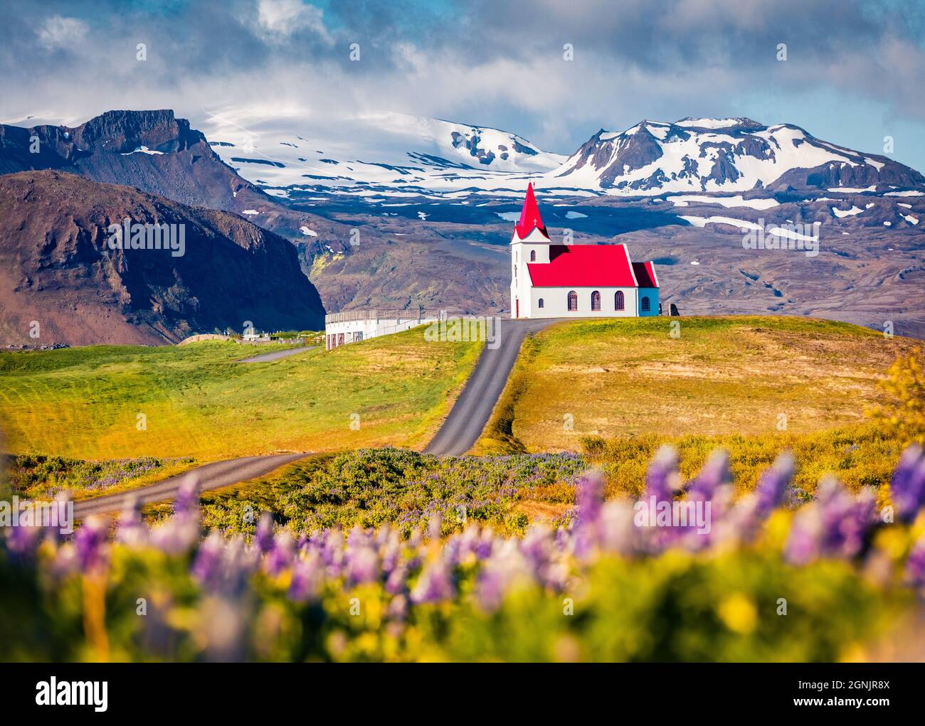 Belle vue matinale de l'église emblématique - Ingjaldsholl. Scène estivale pittoresque de l'Islande avec champ de fleurs lupin et sommets enneigés sur la ba Banque D'Images