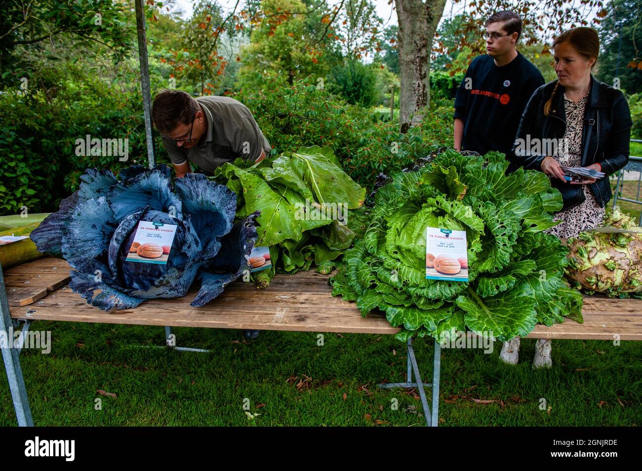 Utrecht, pays-Bas. 25 septembre 2021. Un homme de l'organisation est vu mesurer et peser les grands légumes.pendant le championnat hollandais, les participants de différents légumes géants rivalisent les uns contre les autres. Ils rivalisent dans leur propre catégorie pour le légume le plus grand, le plus long et/ou le plus lourd. La pesée des citrouilles géantes et d'un certain nombre d'autres légumes géants est enregistrée auprès du Grand Commonwealth des citrouilles (BPC). Cette année, le gagnant était un jeune agriculteur avec une citrouille géante de 887 kg. Crédit : SOPA Images Limited/Alamy Live News Banque D'Images