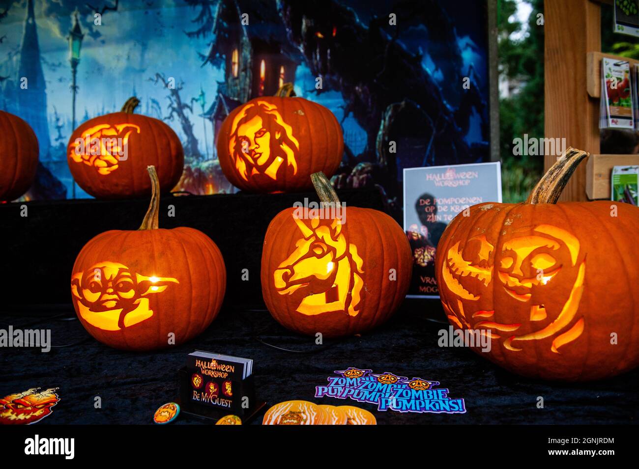 Utrecht, pays-Bas. 25 septembre 2021. Une vue sur les citrouilles décorées pour Halloween.pendant le championnat hollandais, les participants de différents légumes géants se disputent les uns contre les autres. Ils rivalisent dans leur propre catégorie pour le légume le plus grand, le plus long et/ou le plus lourd. La pesée des citrouilles géantes et d'un certain nombre d'autres légumes géants est enregistrée auprès du Grand Commonwealth des citrouilles (BPC). Cette année, le gagnant était un jeune agriculteur avec une citrouille géante de 887 kg. Crédit : SOPA Images Limited/Alamy Live News Banque D'Images