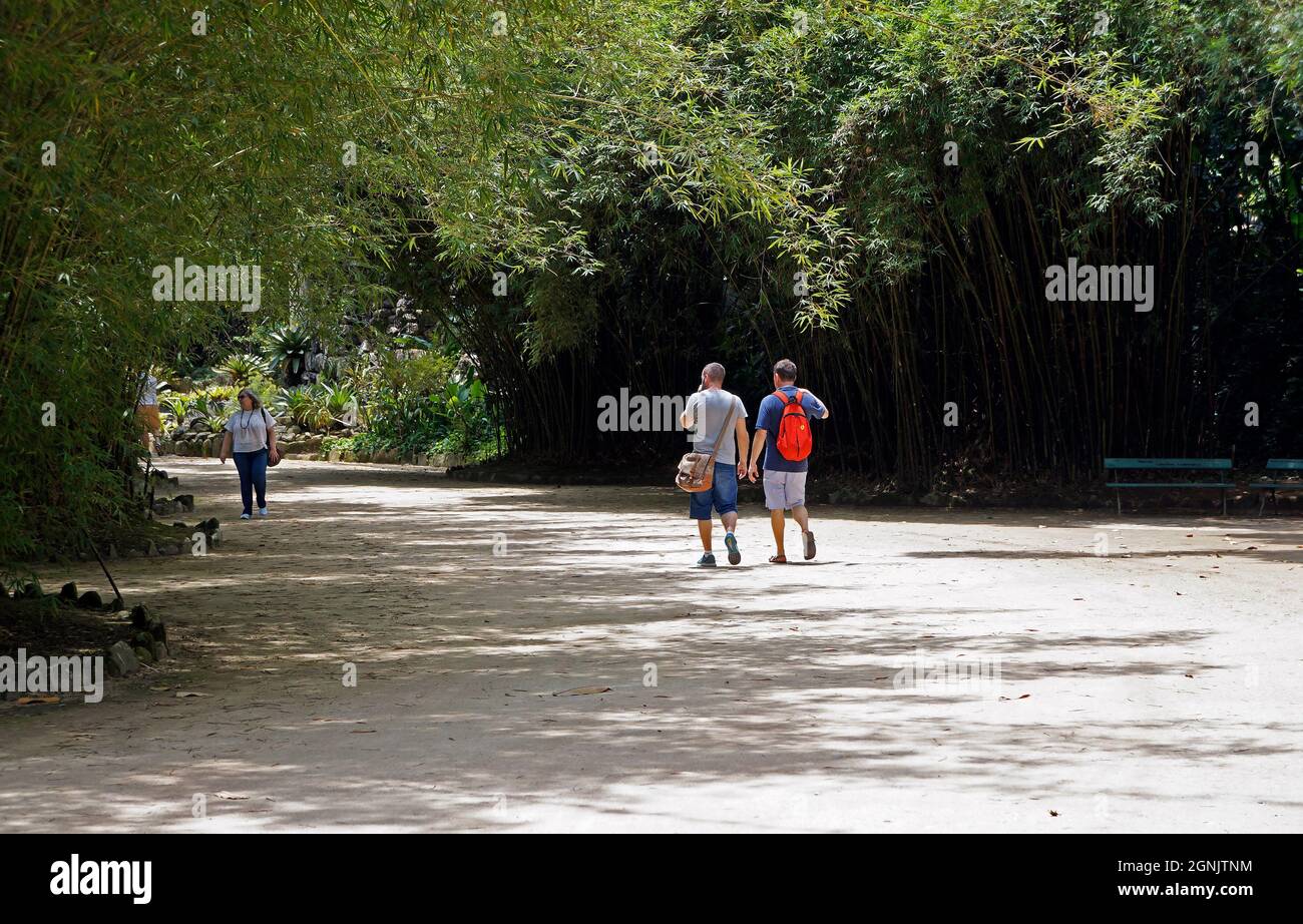 RIO DE JANEIRO, BRÉSIL - 1er DÉCEMBRE 2019 : couple d'hommes gais marchant dans le parc Banque D'Images