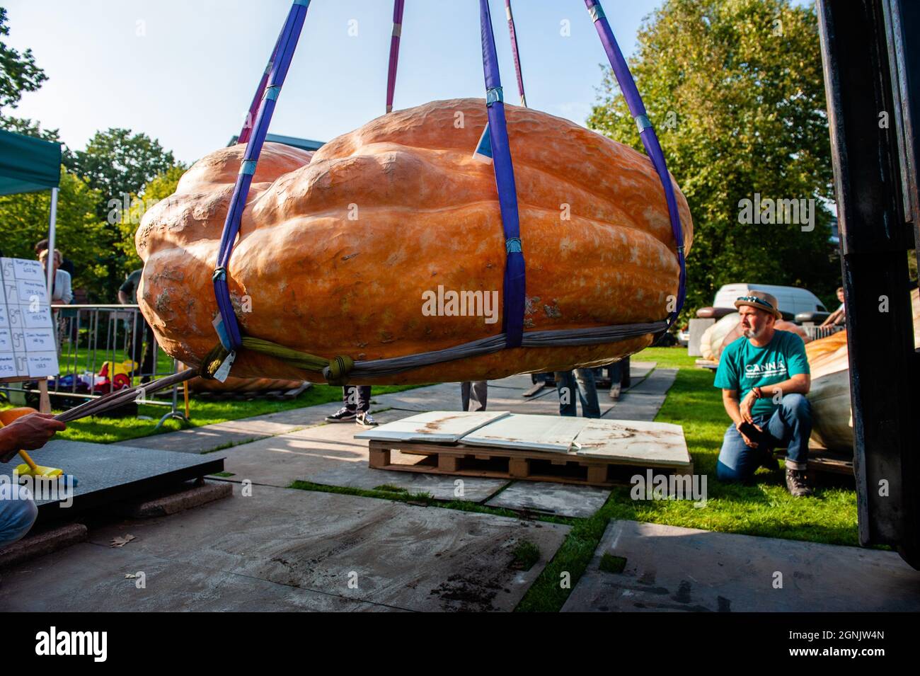 Le potiron gagnant est vu être élevé dans les airs.pendant le championnat hollandais, les participants de différents légumes géants se disputent les uns contre les autres. Ils rivalisent dans leur propre catégorie pour le légume le plus grand, le plus long et/ou le plus lourd. La pesée des citrouilles géantes et d'un certain nombre d'autres légumes géants est enregistrée auprès du Grand Commonwealth des citrouilles (BPC). Cette année, le gagnant était un jeune agriculteur avec une citrouille géante de 887 kg. (Photo par Ana Fernandez / SOPA Images / Sipa USA) Banque D'Images