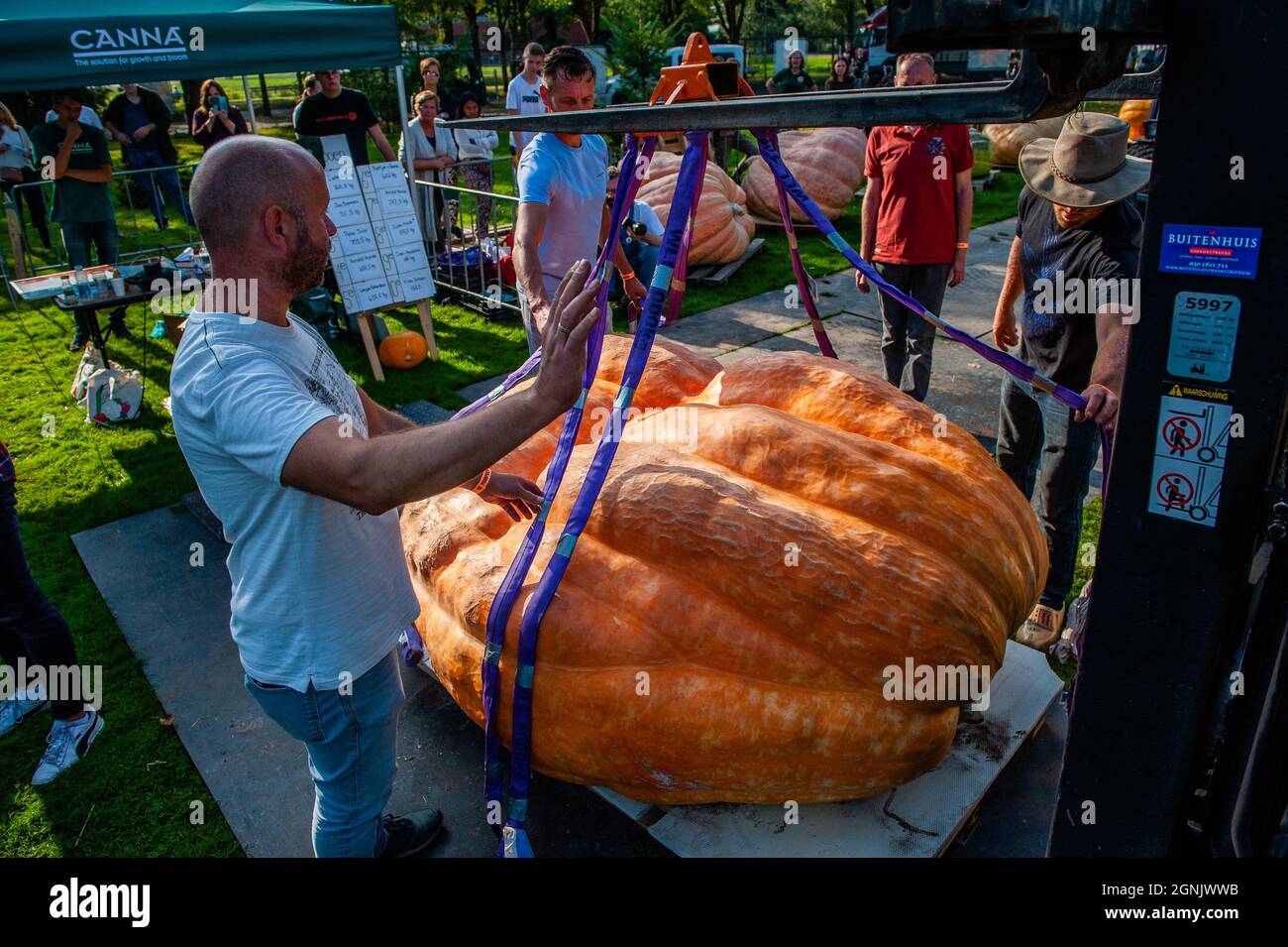 Des hommes de l'organisation sont vus pesant la citrouille.pendant le championnat hollandais, les participants de différents légumes géants se disputent les uns contre les autres. Ils rivalisent dans leur propre catégorie pour le légume le plus grand, le plus long et/ou le plus lourd. La pesée des citrouilles géantes et d'un certain nombre d'autres légumes géants est enregistrée auprès du Grand Commonwealth des citrouilles (BPC). Cette année, le gagnant était un jeune agriculteur avec une citrouille géante de 887 kg. (Photo par Ana Fernandez / SOPA Images / Sipa USA) Banque D'Images