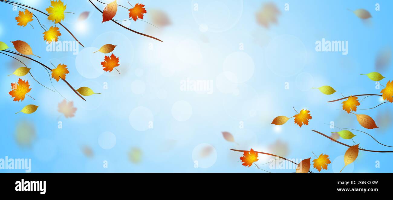 bannière bleue brillante avec automne tombant des feuilles jaunes des arbres Banque D'Images