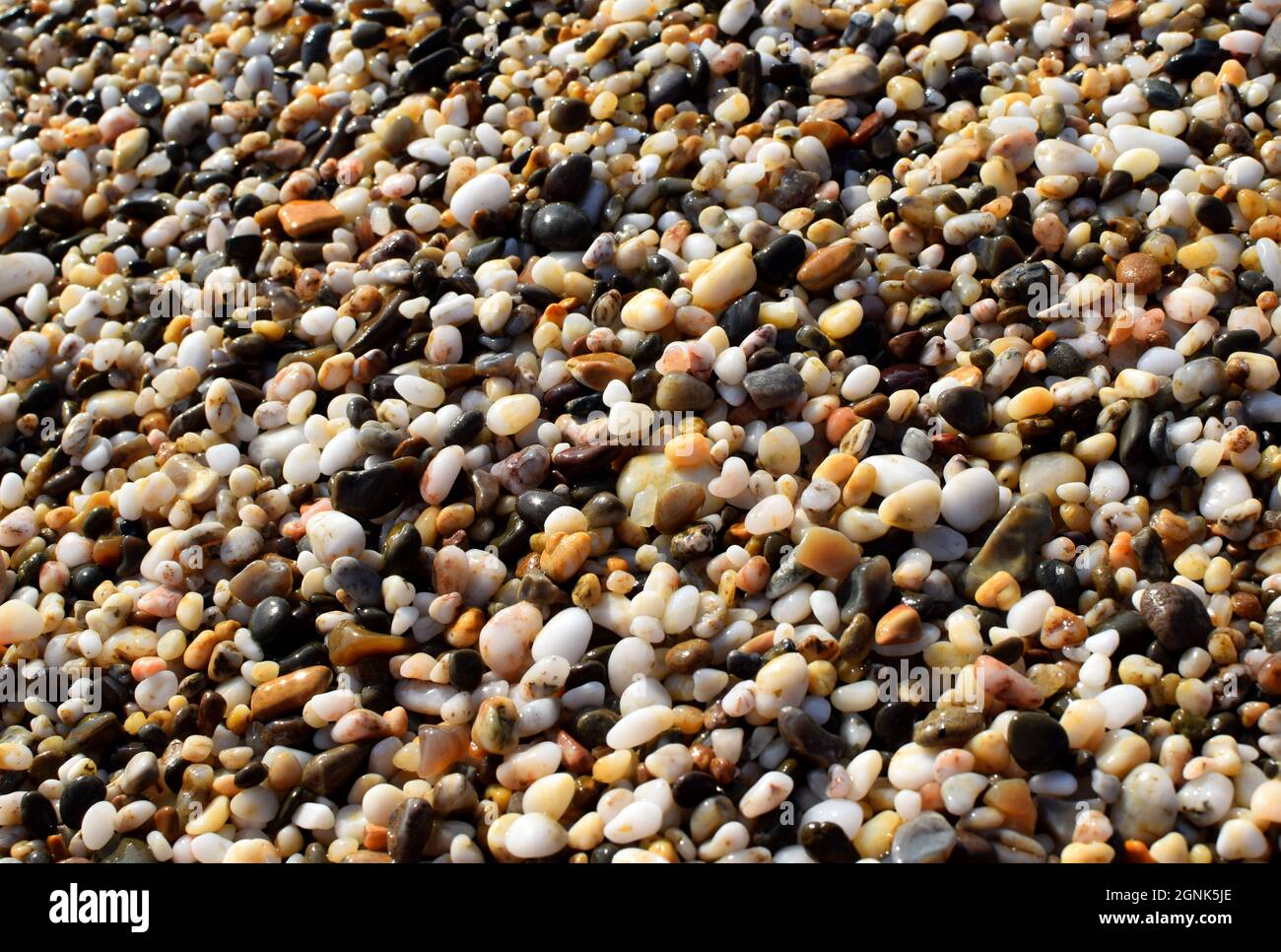 Fond de texture naturelle, pierres de mer colorées dans l'eau, vue de dessus Banque D'Images