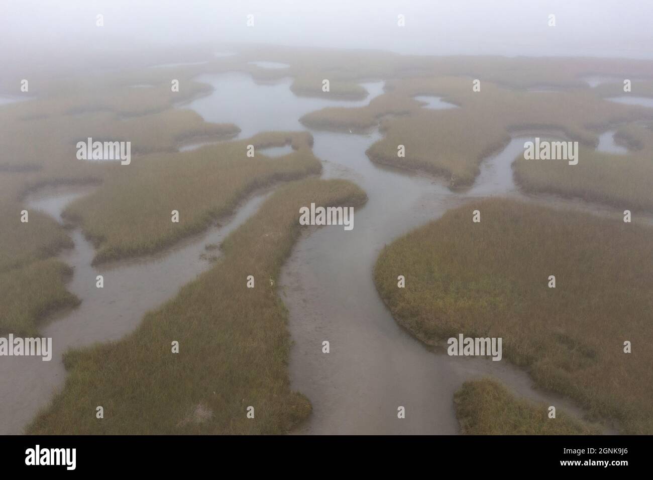 Le brouillard coule sur un vaste marais salé de Pleasant Bay, Cape Cod, Massachusetts. Ce type d'habitat est une aire d'alimentation vitale pour la faune en migration. Banque D'Images