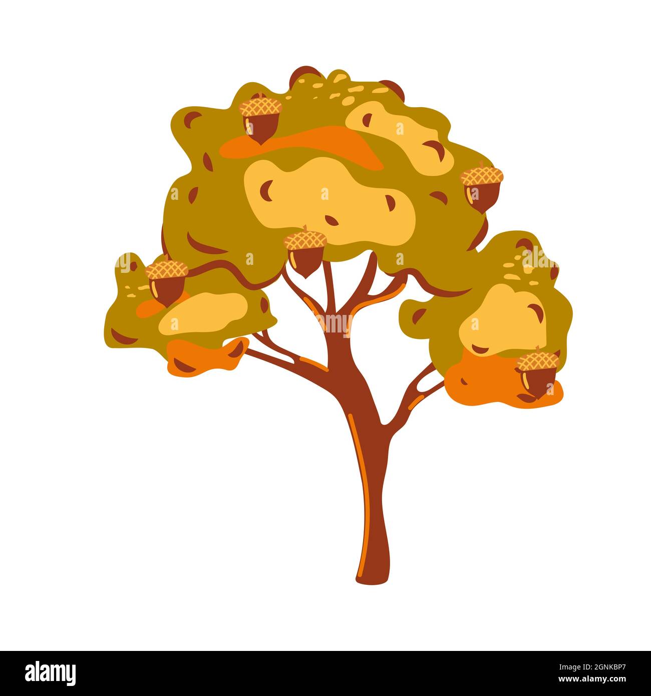 Arbre de chêne de dessin animé avec des acorns isolés sur fond blanc. Chêne avec des glands dans un style plat de gros plan. Illustration de dessin animé. Symbole, illustration du logo Illustration de Vecteur