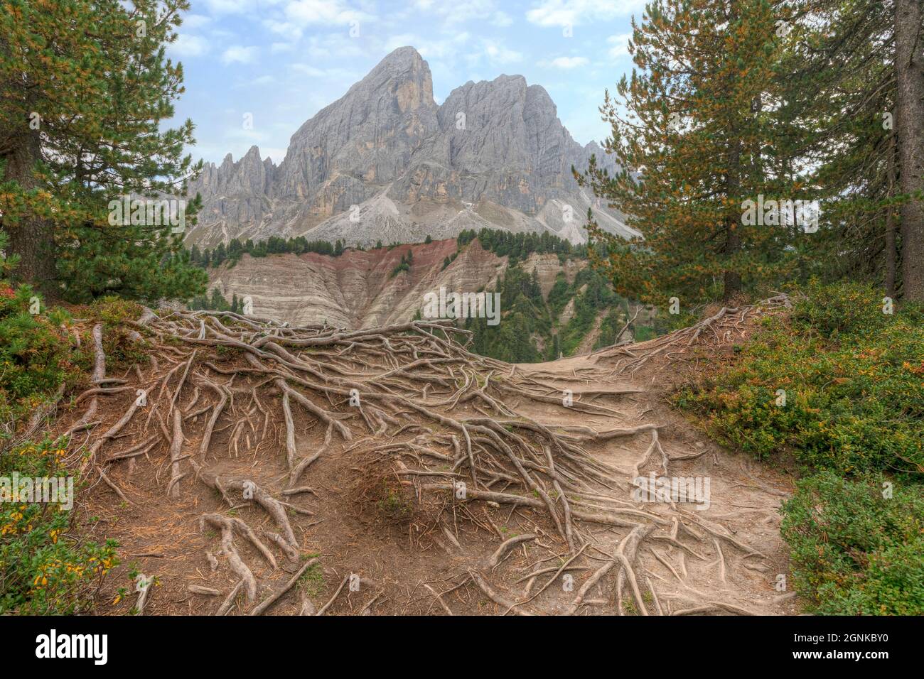 Peitlerkofel, Passo delle Erbe, Val Badia, Haut-Adige, Dolomites, Tyrol du Sud, Italie Banque D'Images