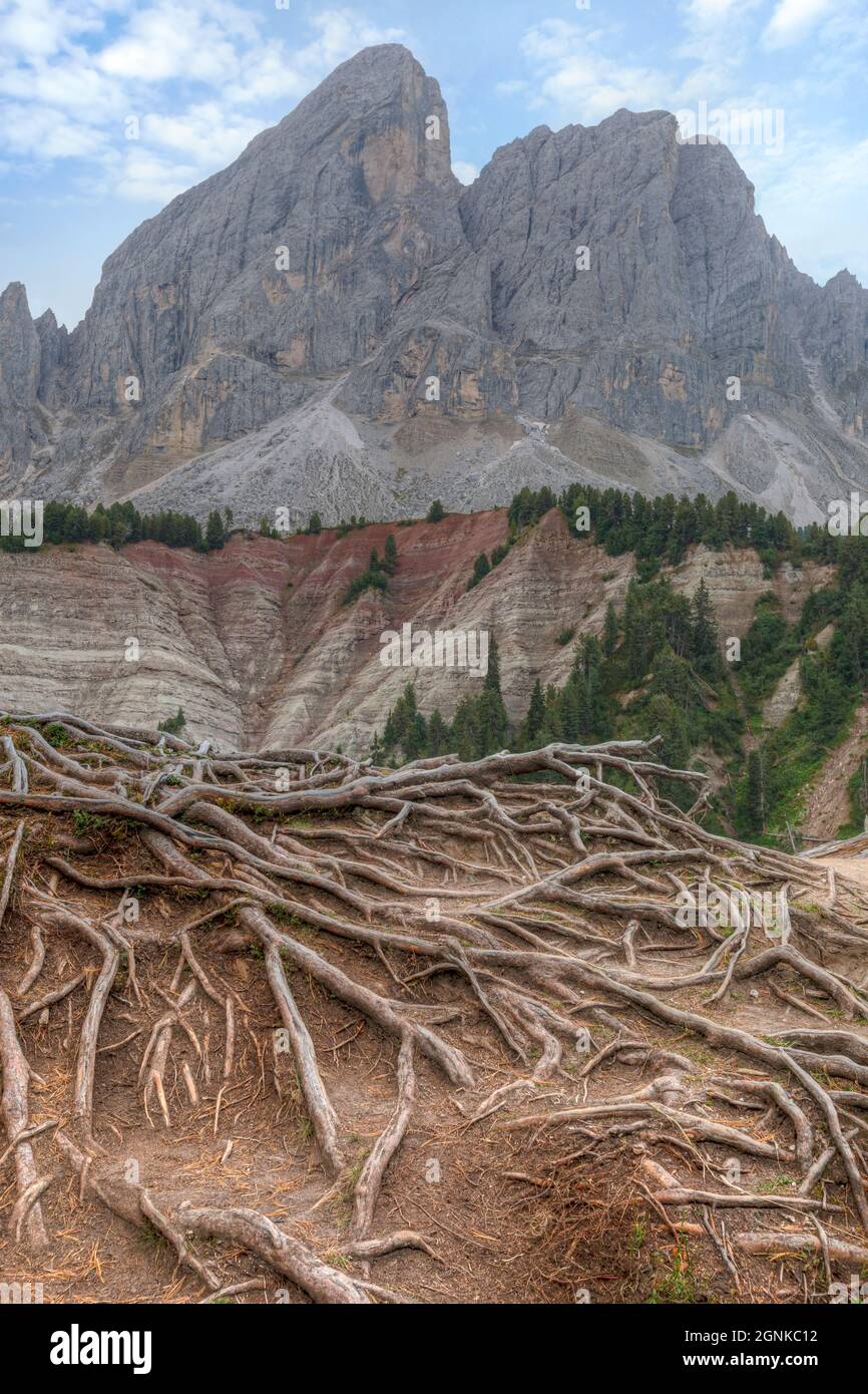 Peitlerkofel, Passo delle Erbe, Val Badia, Haut-Adige, Dolomites, Tyrol du Sud, Italie Banque D'Images