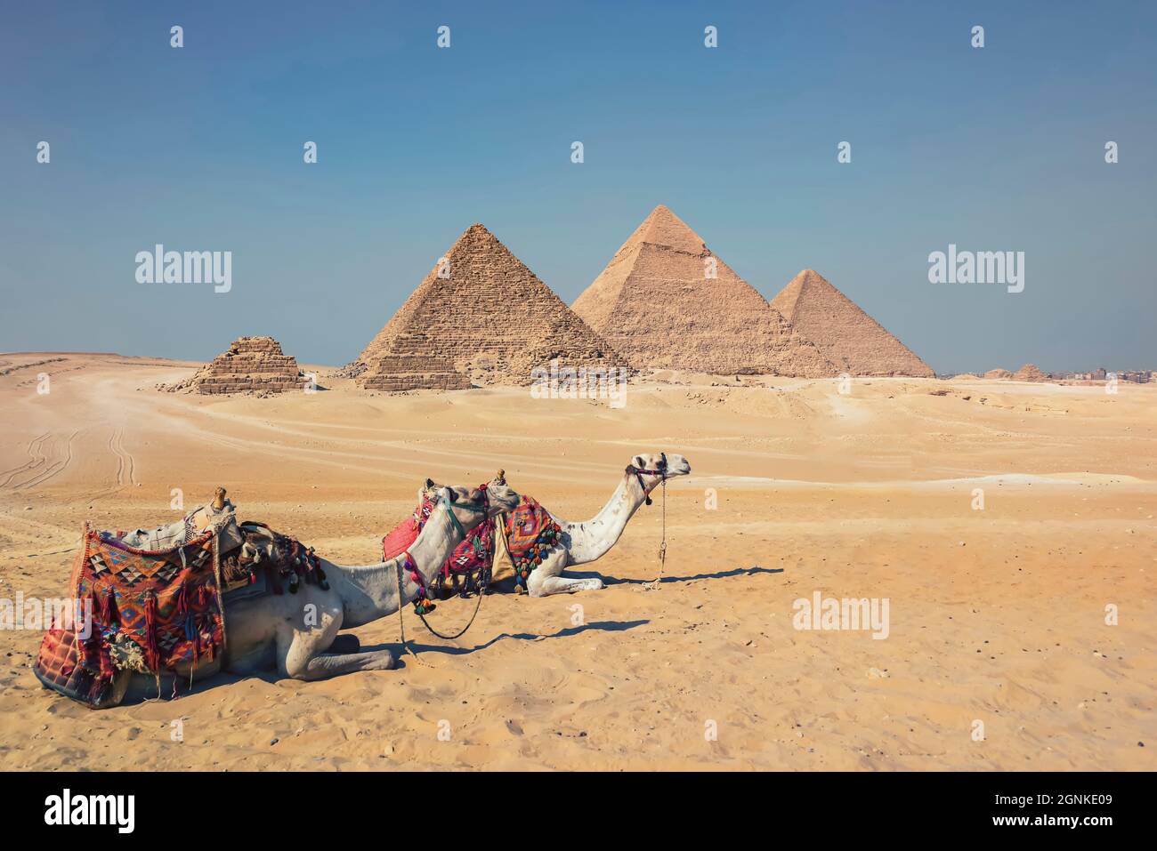 Les Pyramides de Gizeh en Egypte Banque D'Images