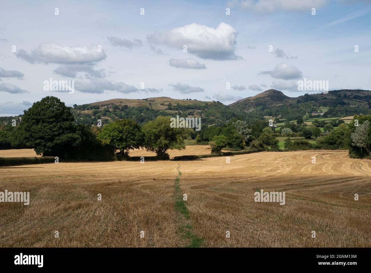 Collines ondulantes et terres agricoles récoltées dans la campagne galloise avec ciel nuageux Banque D'Images