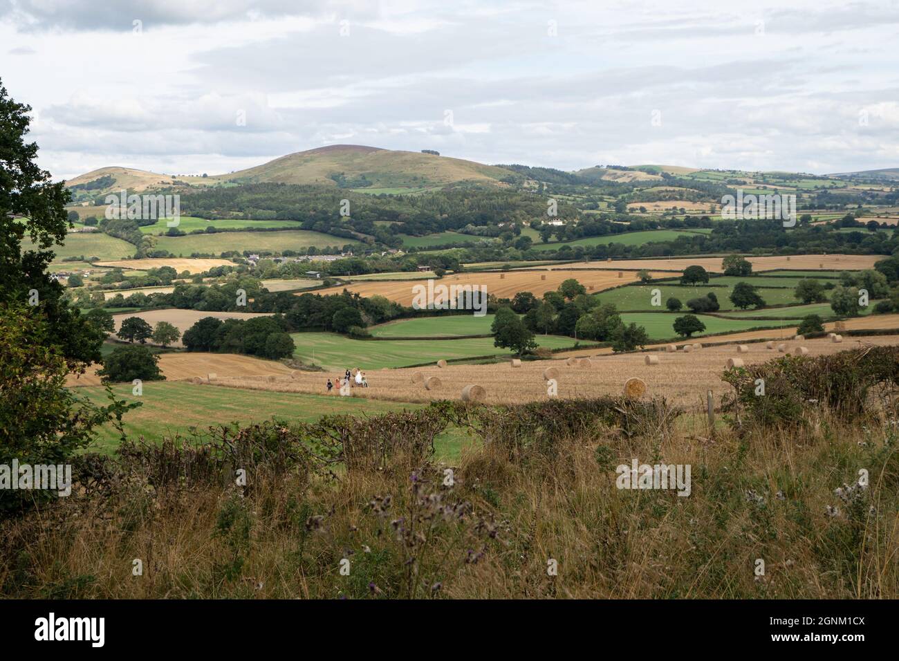 Campagne galloise vallonnée avec des champs patchwork et des collines lointaines sous le ciel nuageux Banque D'Images