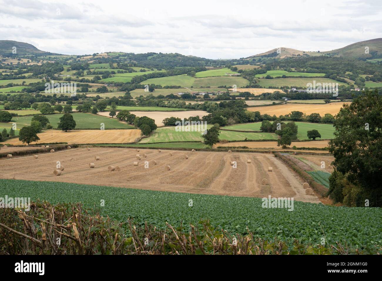 Campagne galloise vallonnée avec des balles de foin et des champs en patchwork dans le paysage de la vallée Banque D'Images