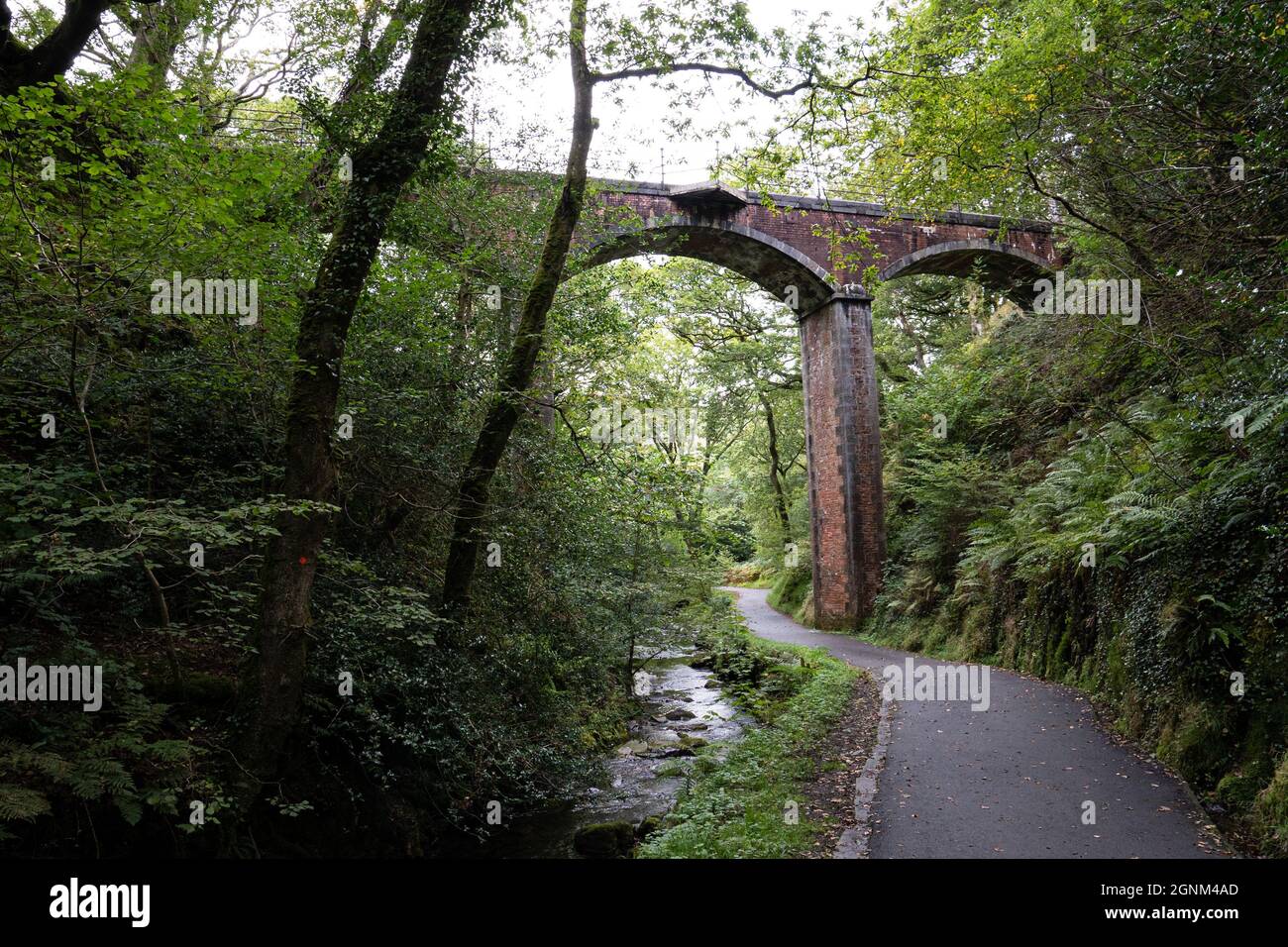 Pont ferroviaire historique sur viaduc au-dessus d'un chemin boisé et d'un ruisseau au pays de Galles Banque D'Images