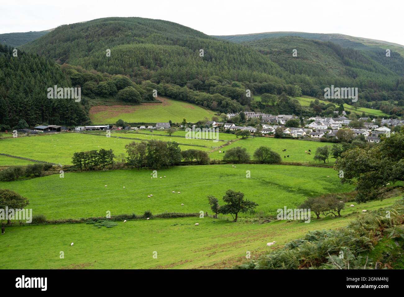 Collines verdoyantes et village niché dans la vallée galloise avec le pâturage des moutons dans les champs Banque D'Images
