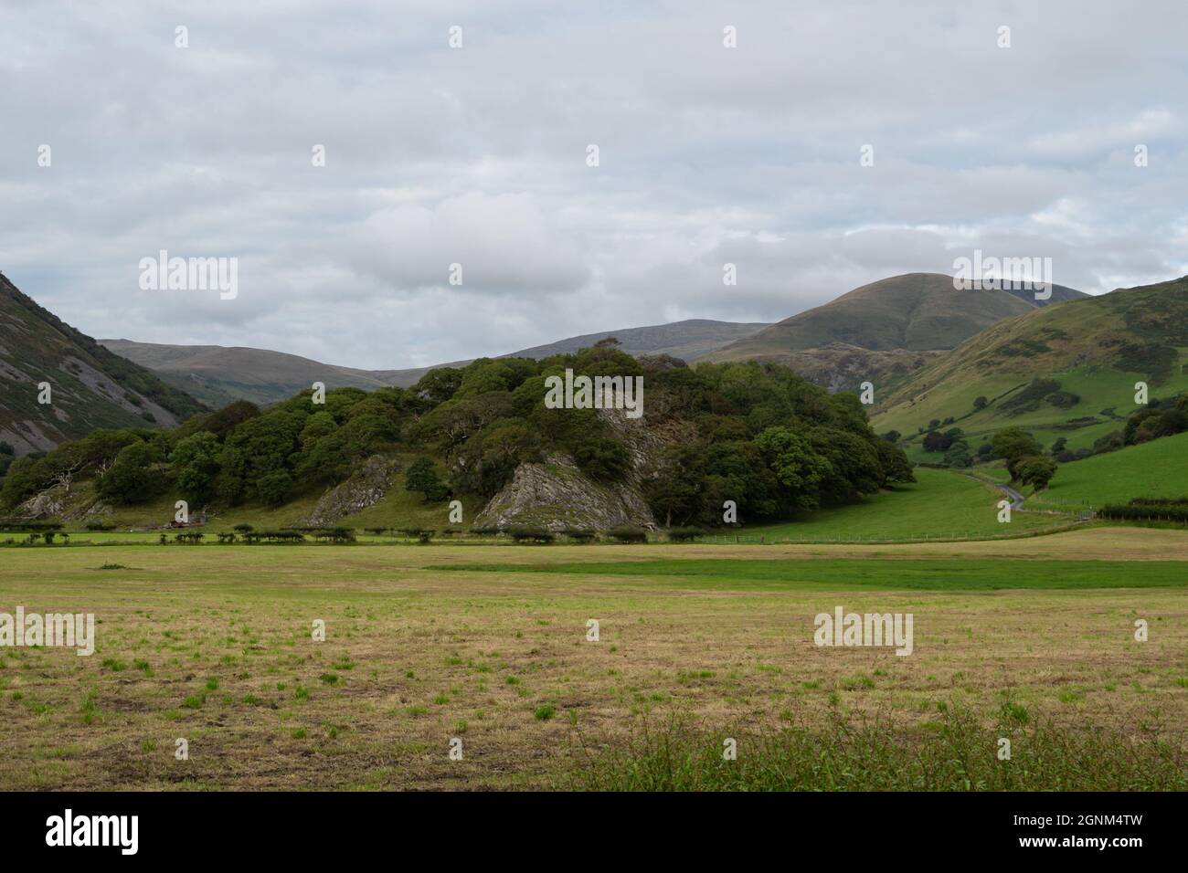 Collines verdoyantes et champs agricoles dans le paysage de campagne galloise Banque D'Images