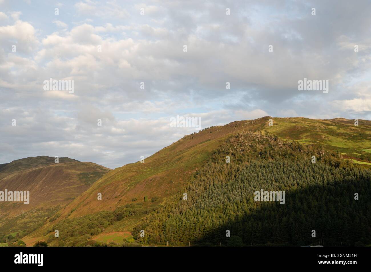 Collines galloises avec forêt de conifères sous ciel nuageux spectaculaire Banque D'Images Collines galloises avec forêt de conifères sous ciel nuageux spectaculaire Banque D'Images
